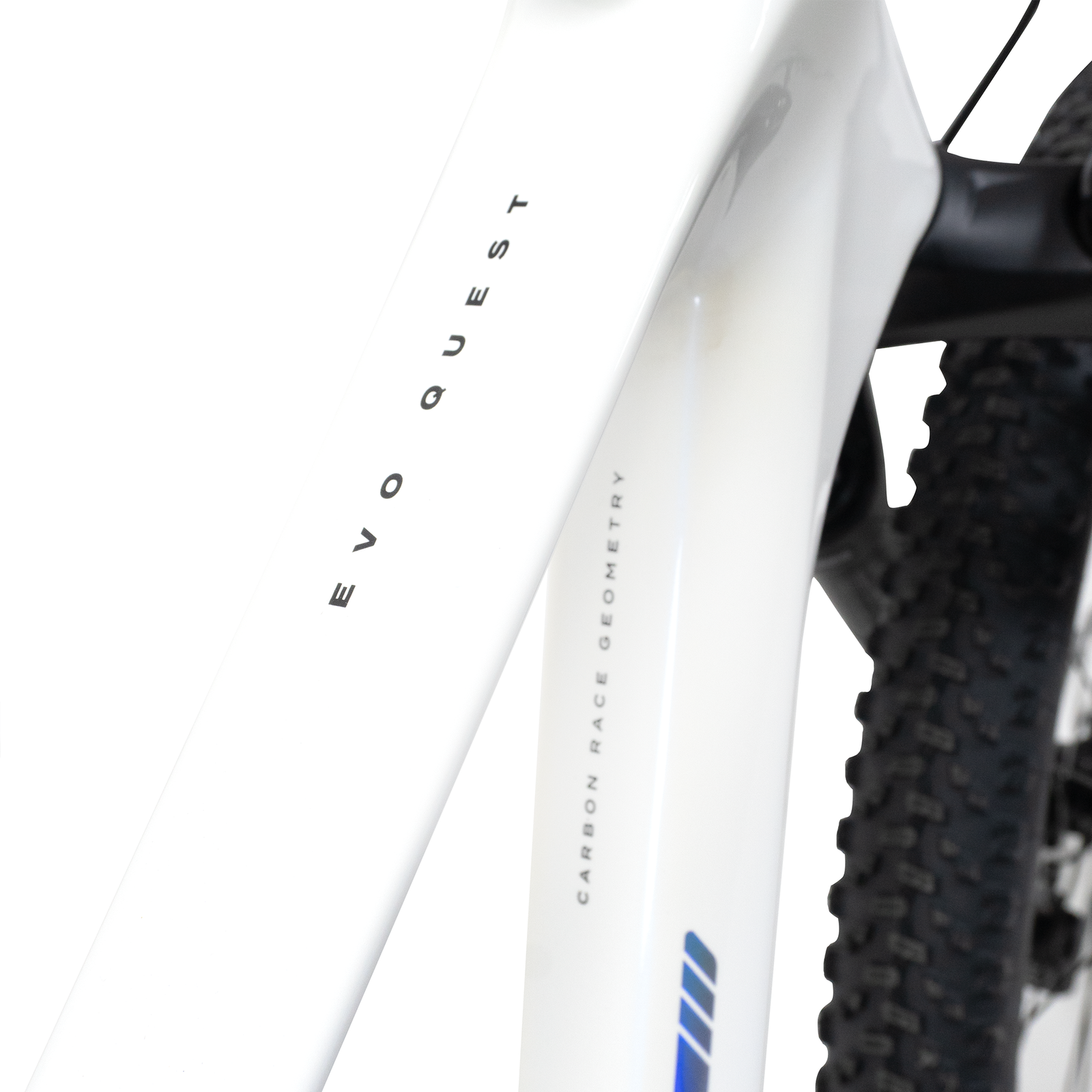 Evo Quest Sport - Imagem 4